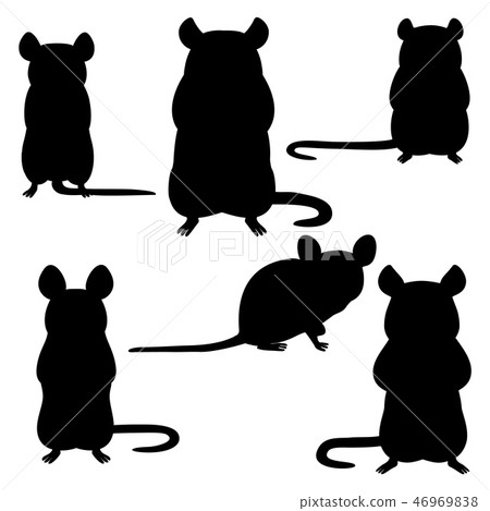 鼠標輪廓設置 46969838