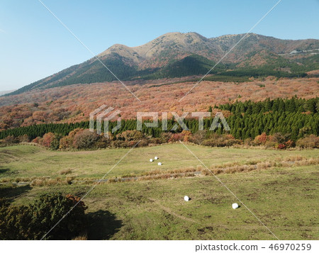Plateau scenery along the Yamanami Highway Plateau scenery along the Yamanami Highway 46970259