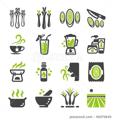 lemongrass icon set lemongrass icon set 46970649