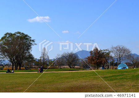 熊本市水前寺Gotsuko公園下午早春 熊本市水前寺Gotsuko公園下午早春 46971141
