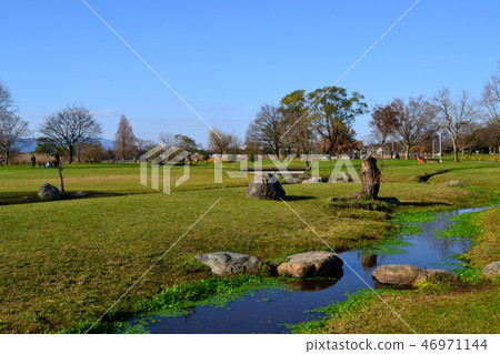 熊本市水前寺Gotsuko公園下午早春 熊本市水前寺Gotsuko公園下午早春 46971144