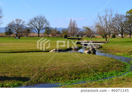 熊本市水前寺Gotsuko公園下午早春 熊本市水前寺Gotsuko公園下午早春 46971145