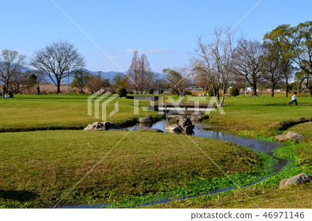 熊本市水前寺Gotsuko公園下午早春 熊本市水前寺Gotsuko公園下午早春 46971146