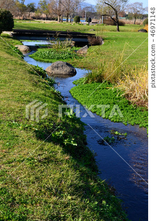 熊本市水前寺Gotsuko公園下午早春 熊本市水前寺Gotsuko公園下午早春 46971148