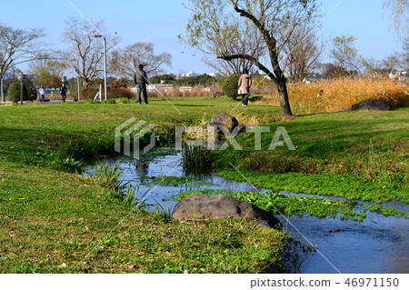 熊本市水前寺Gotsuko公園下午早春 熊本市水前寺Gotsuko公園下午早春 46971150