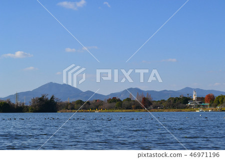 熊本市水前寺Gotsuko公園下午早春 熊本市水前寺Gotsuko公園下午早春 46971196