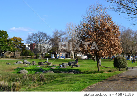 熊本市水前寺Gotsuko公園下午早春 熊本市水前寺Gotsuko公園下午早春 46971199