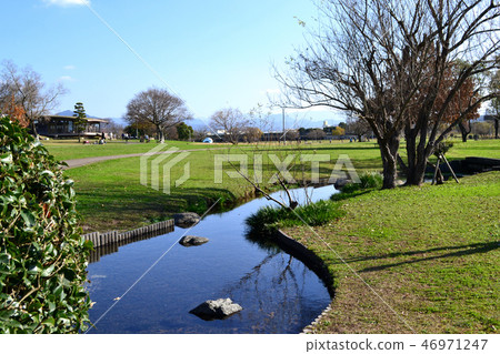 熊本市水前寺Gotsuko公園下午早春 熊本市水前寺Gotsuko公園下午早春 46971247