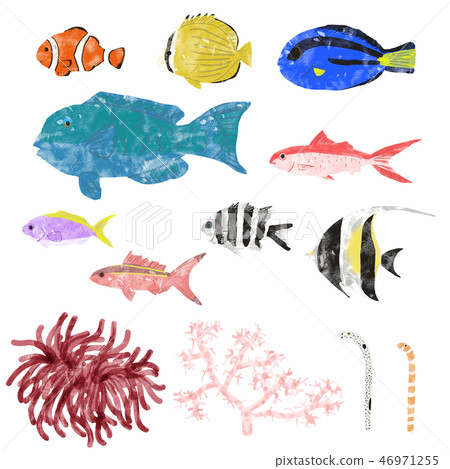 海洋生物熱帶 46971255