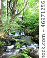 Nasu's Clear Current / Fresh Green 46971256