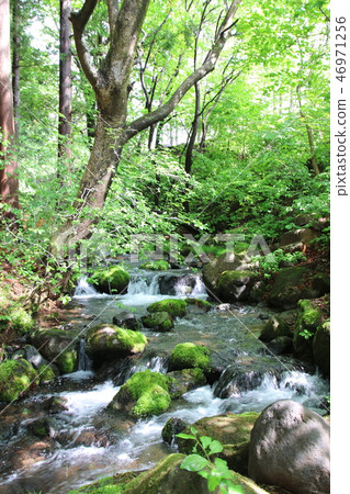 Nasu's Clear Current / Fresh Green Nasu's Clear Current / Fresh Green 46971256