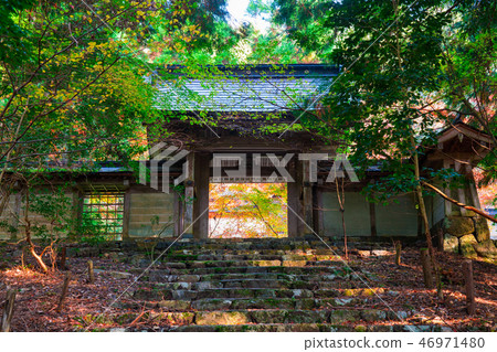 Autumn leaves of Joshōji Temple in Kyoto Autumn leaves of Joshōji Temple in Kyoto 46971480