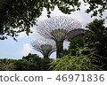Garden by the Bay 46971836