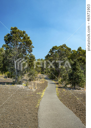 hawaii, nature, natural 46971903