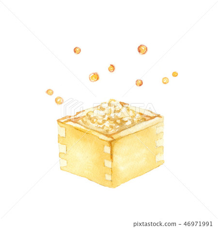 豆水彩插圖 46971991