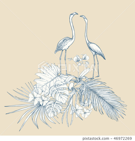 A composition of tropical plants, palm leaves A composition of tropical plants, palm leaves 46972269