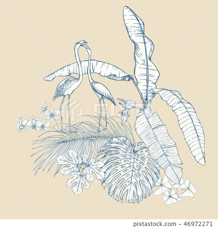 A composition of tropical plants, palm leaves 46972271