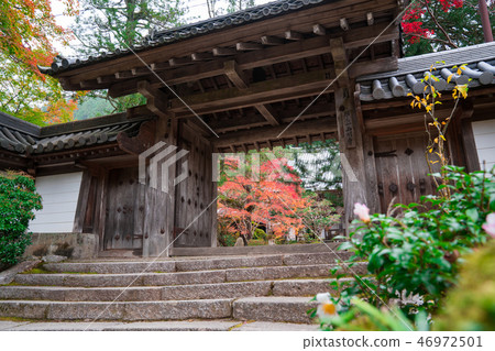 Autumn leaves of Saimyoji, Kyoto 46972501