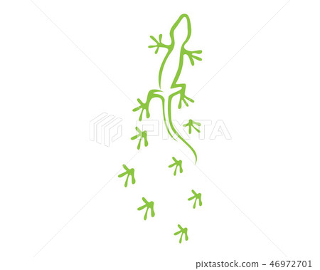 Lizard Chameleon Gecko Silhouette black 46972701