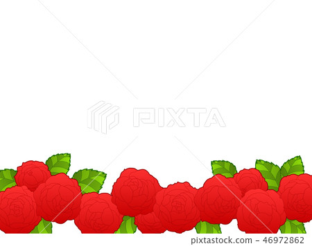 Rose flower illustration background Rose flower illustration background 46972862