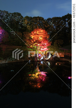 Mejiro Garden light up 2018 Mejiro Garden light up 2018 46972931