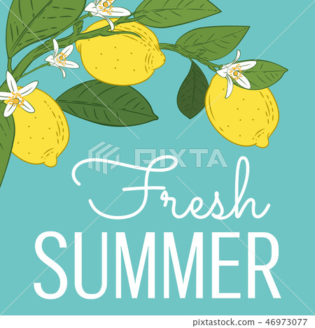 Tropical citrus lemon fruits bright summer card. Poster with lemons, green leaves and flowers on Tropical citrus lemon fruits bright summer card. Poster with lemons, green leaves and flowers on 46973077