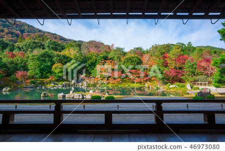 Autumn leaves of Kyoto Tenryu-ji Temple Autumn leaves of Kyoto Tenryu-ji Temple 46973080