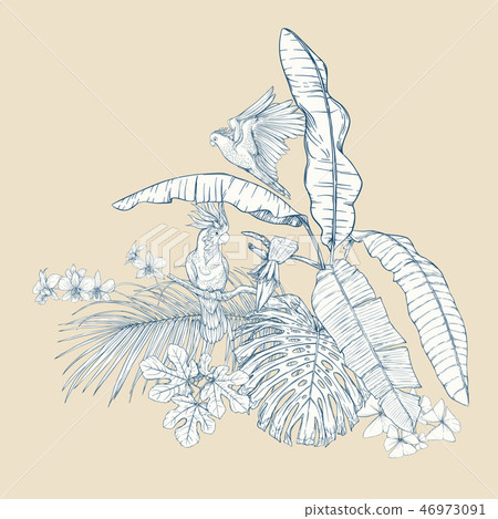 A composition of tropical plants, palm leaves A composition of tropical plants, palm leaves 46973091