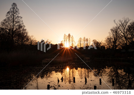 Zenfukuji Park at the sunset of winter (bottom pond) 46973318