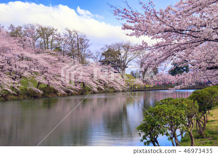 高田城堡公園4在春天 46973435