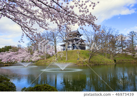 Takada Castle Park 8 in spring 46973439