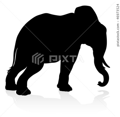 Elephant Safari Animal Silhouette Elephant Safari Animal Silhouette 46973524