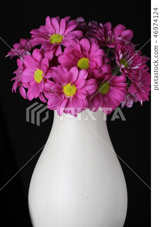 bouquet of magenta with yellow flowers bouquet of magenta with yellow flowers 46974124