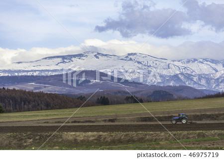 Spring agricultural work 46975719