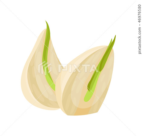 Flat vector icon of two sprouted cloves of garlic. Aromatic plant. Culinary ingredient. Natural 46976580