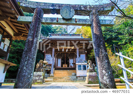 Nishiyama Shrine (Nagasaki 9 companies) [Nagasaki City] 46977031