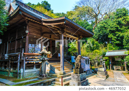 Nishiyama Shrine (Nagasaki 9 companies) [Nagasaki City] 46977032
