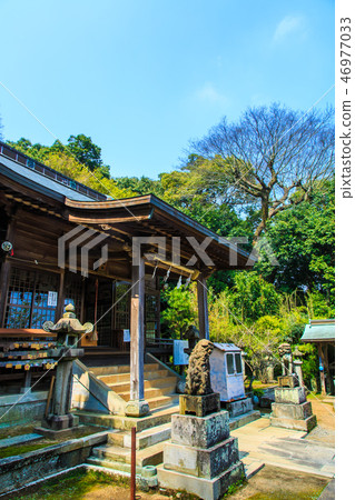 Nishiyama Shrine (Nagasaki 9 companies) [Nagasaki City] 46977033