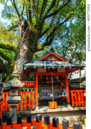 Isenomiya（長崎9公司）[長崎市] 46977069