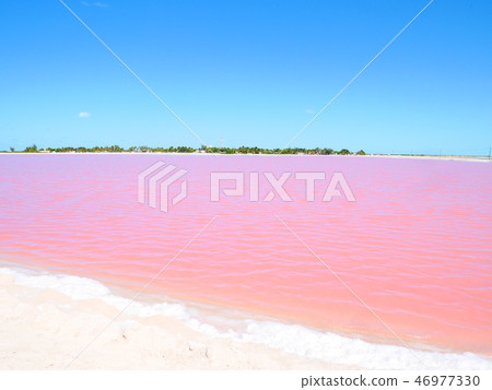 Pink Lake at Yucatan Peninsula, Mexico 46977330