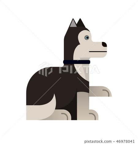 Husky sits. 46978041