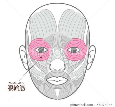 Ring and eye muscle (cancer ring) Ring and eye muscle (cancer ring) 46978072
