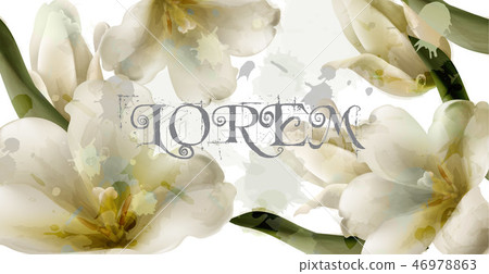 Lily watercolor flowers background Vector Lily watercolor flowers background Vector 46978863