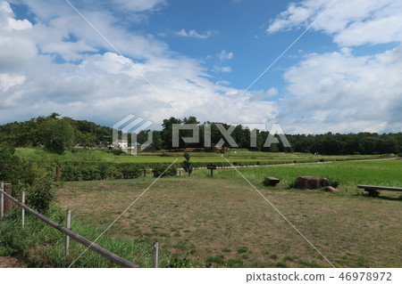 Summer landscape in the countryside 46978972