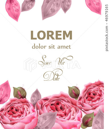 Pink roses watercolor background Vector - Stock Illustration [46979165 ...
