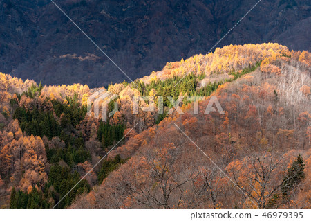 深秋的太陽 46979395