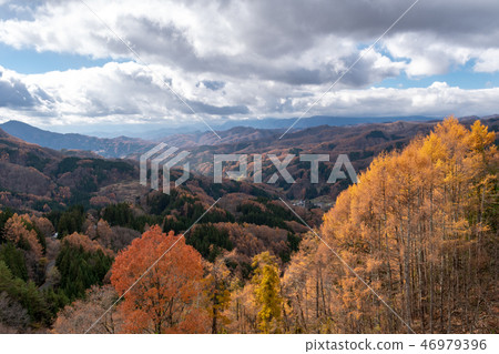 深秋的希望很大 深秋的希望很大 46979396