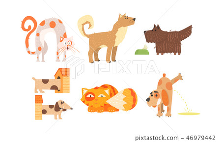 Funny cats and dogs of different breeds, cute animals in different situations, best friends vector 46979442