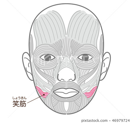 笑肌(獎) 笑肌(獎) 46979724