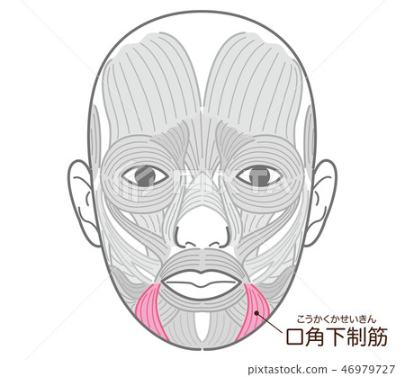 Horny Constrictor Horny Constrictor 46979727